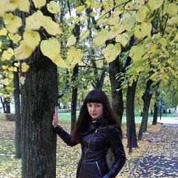 ���� ������, �����, 41 ��� - ��������� 3 ������ 2019