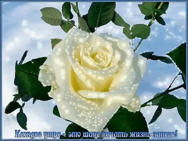 ДОБРОЕ УТРО!!! Я желаю вам счастья, такого простого, земного, Даже если метель в это утро над вами ...