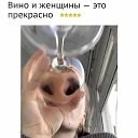  ,  -  5  2018    