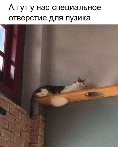   - 1  2018  17:04