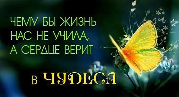   ,    . - 19  2019  17:43