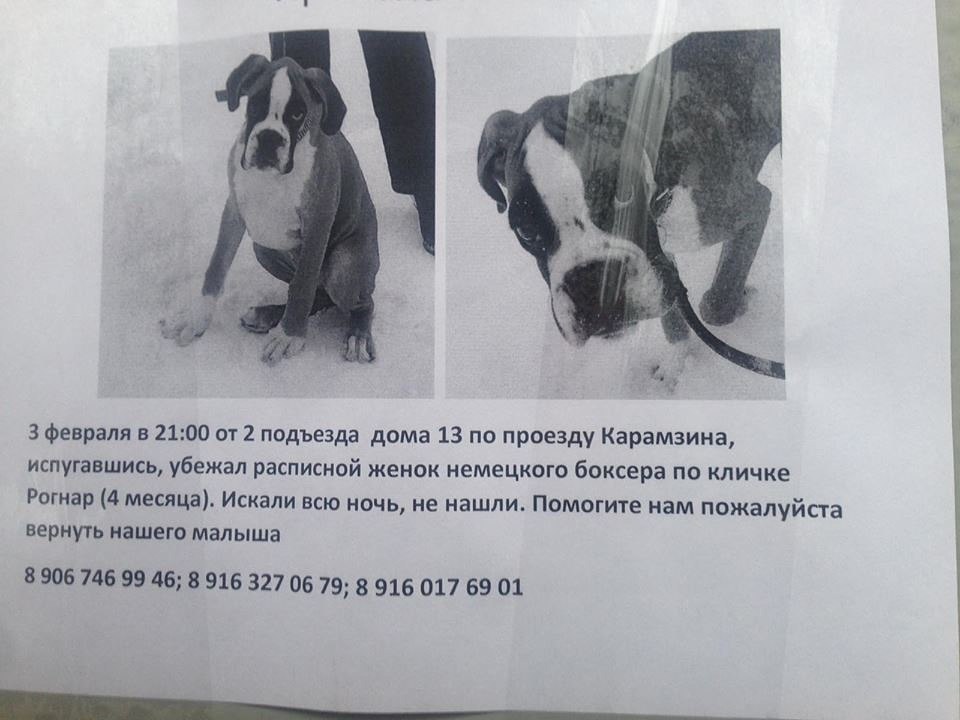   # # # # ...