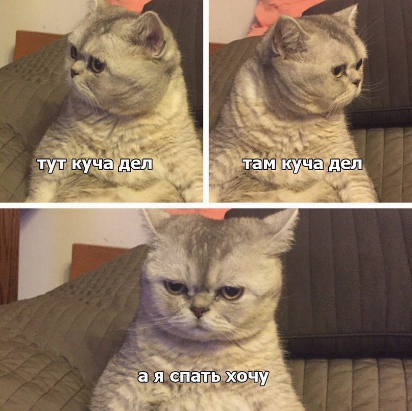   , !