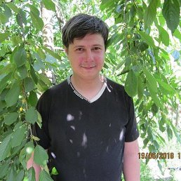 Dizjek, ��������, 40 ���