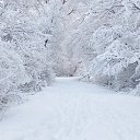 ���� �����, �������, 66 ��� - ��������� 11 ������ 2019 � ������ ������ ��������