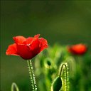 ���� ������, �����-���������, 69 ��� - ��������� 26 ������ 2018