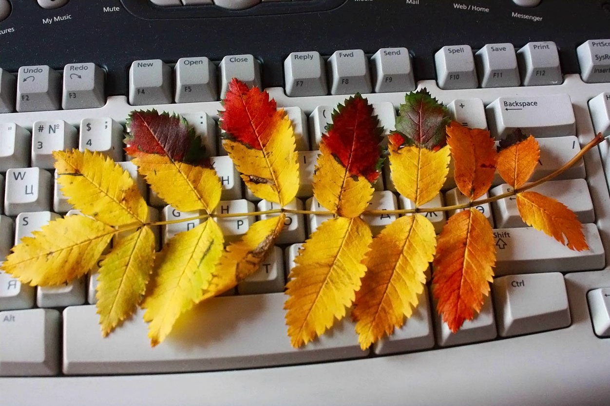 https://fotostrana.ru/away?to=/sl/eHQ3
