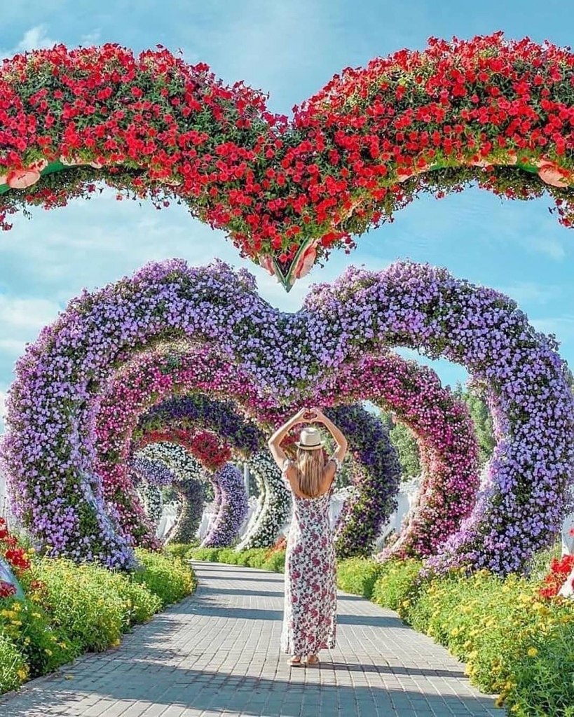 Есть на свете чудо сад. Сад чудес в Дубае. Miracle Garden Дубай. Цветочный парк в Дубае. 33. Парк цветов Dubai Miracle Garden (сад чудес).