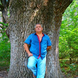 ������, �������, 62 ����