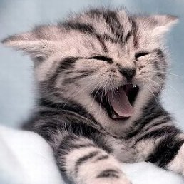 Vasiliy, ������������