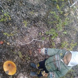 �������, ������, 39 ���