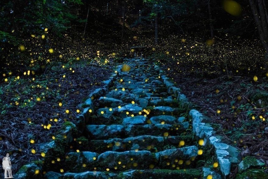       National Geographic. - 9