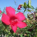 ���� �nyplace A Stranger, �����������, 64 ���� - ��������� 26 ������ 2018 � ������ �La vie apres la vie�