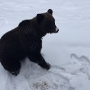���� ���������, ���������, 45 ��� - ��������� 12 ������� 2018 � ������ ���� ����������