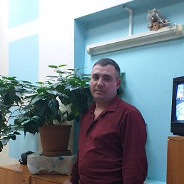 �������, �������, 46 ���