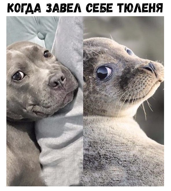   :D - 19  2018  16:40