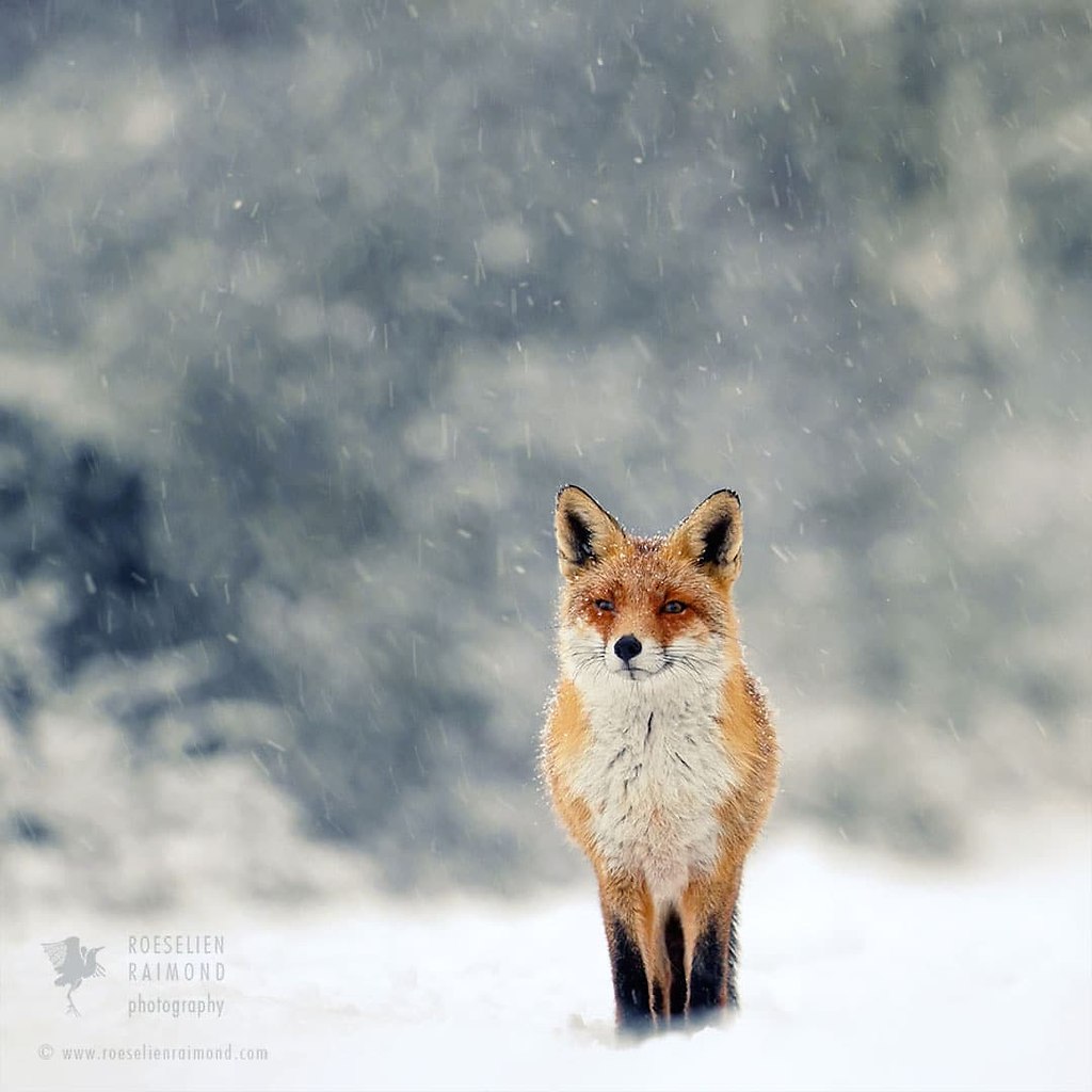 #@https://fotostrana.ru/away?to=/sl/NWB4 Emma Taggart