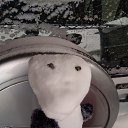 ���� ������, ������, 51 ��� - ��������� 5 ������ 2019 � ������ ���� ����������