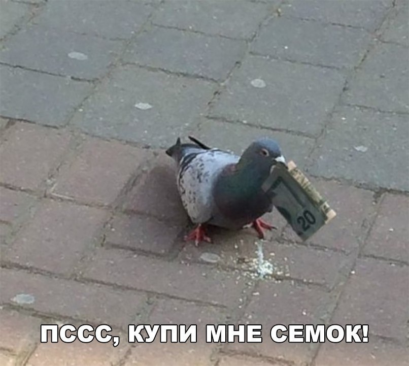 ... - 2  2018  02:36 - 2