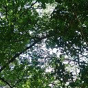  , , 60  -  4  2018   ,  ,04.08.18.