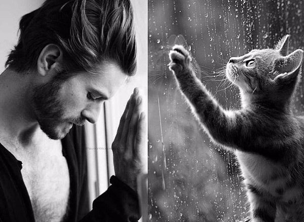Мужчины и коты. Мы затрудняемся сказать, кто здесь круче!