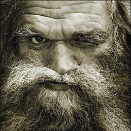 , , 44 