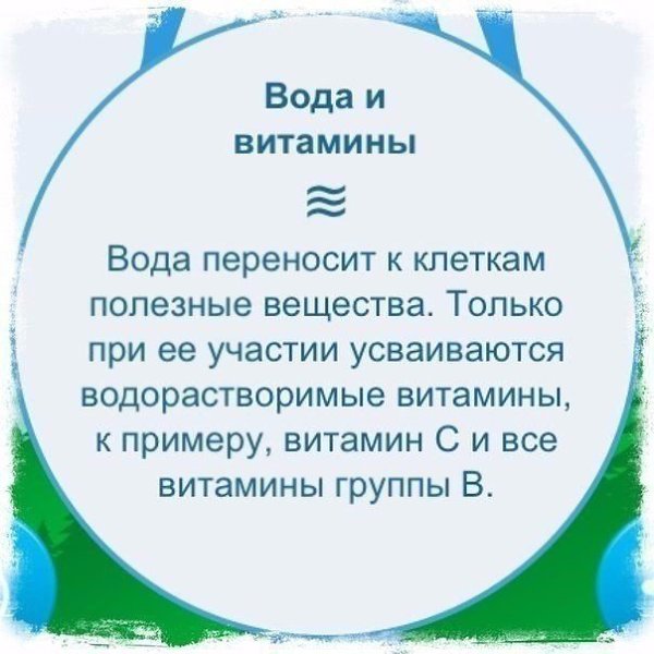 О пользе обычной воды! Сколько литров воды в день вы пьете? #советы@ican - 3