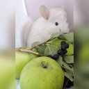 ���� �������, ������ - ��������� 28 ������� 2018 � ������ ����������