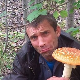 ���� �������, ������, 56 ��� - ��������� 1 ������ 2019