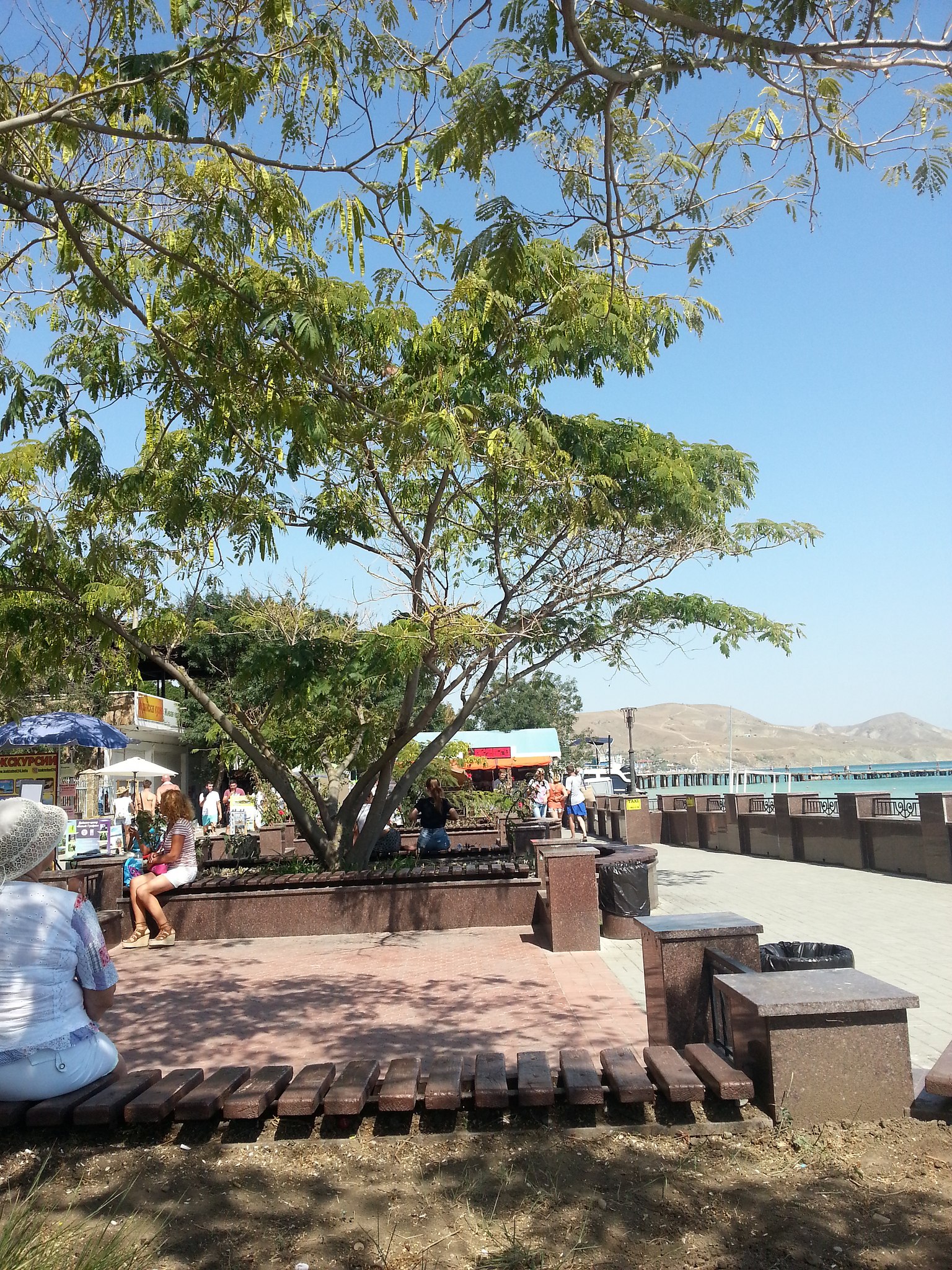 Natusya - 17  2018  21:14