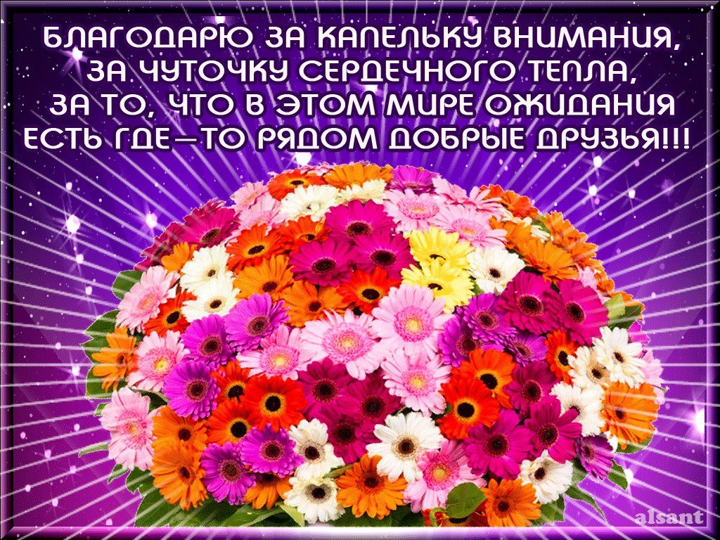 Друзья! Мне дорого Ваше внимание, Ваши пожелания и добрые слова. Пусть непременно сбудется всё, о ...
