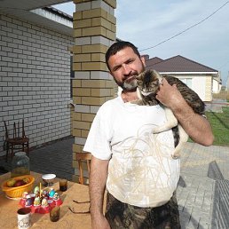 , 53, 