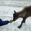 ���� @ �������, ���������, 46 ��� - ��������� 15 �������� 2018 � ������ �������� �����