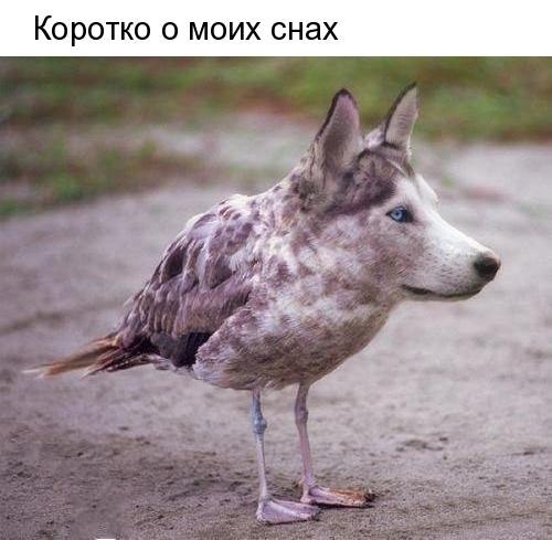   - 16  2018  16:46