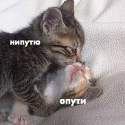 , 21 , 