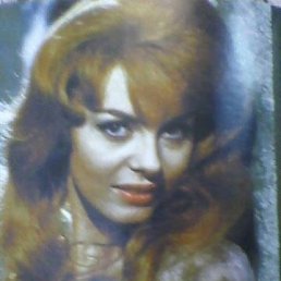 �����, ������, 44 ����