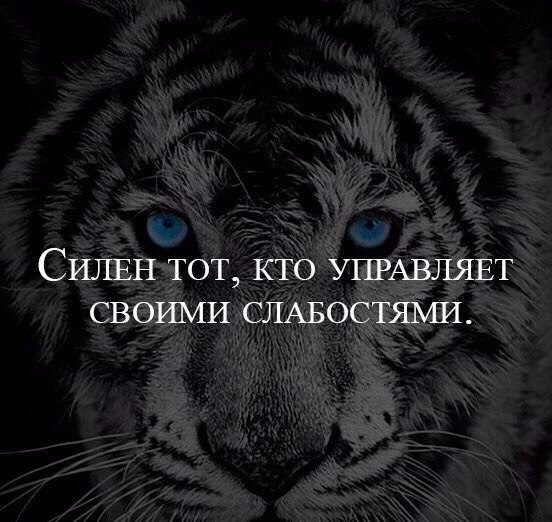     - 24  2019  16:50