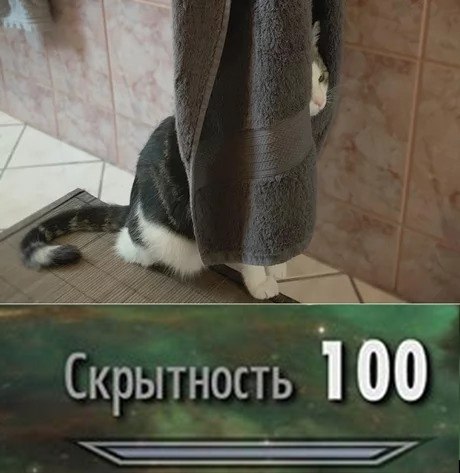  ?  .