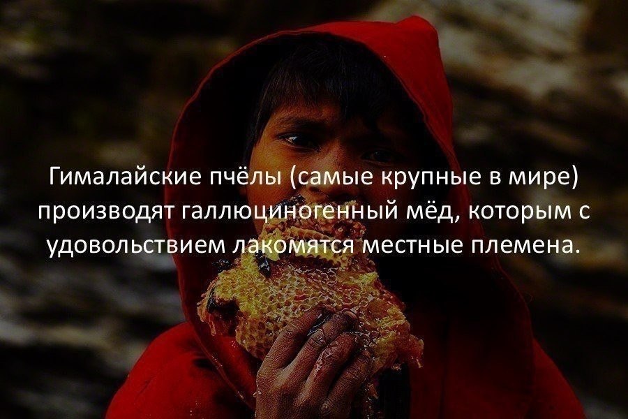   :    - 30  2018  16:53