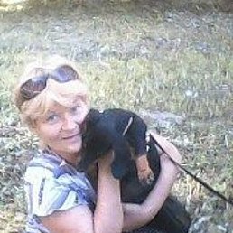 ���� ��������, �������� - ��������� 17 ������� 2019