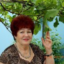 ���� �������, �����, 77 ��� - ��������� 6 ������ 2019 � ������ ���� ����������