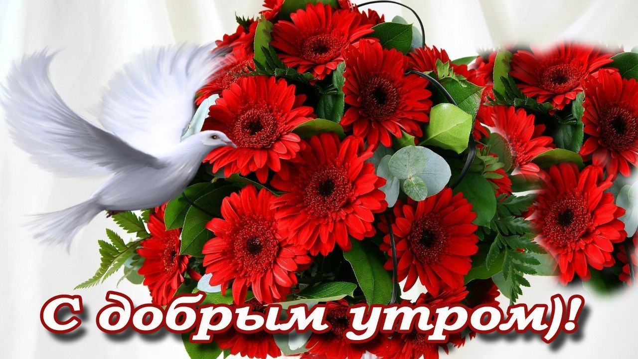   ,    . - 16  2019  00:05