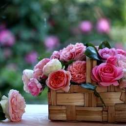 �������, ���������, 45 ���