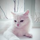 ���� Egor, ����������, 39 ��� - ��������� 7 ������ 2019