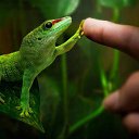 ���� ���������, �����-���������, 63 ���� - ��������� 12 ������� 2018 � ������ ������ ��������