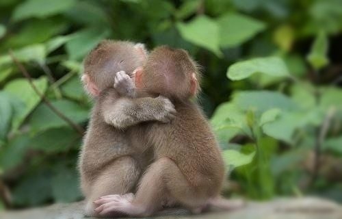 Не бойтесь лишний раз обнять близкого человека и сказать, как вы его любите. Пусть лучше будет этот ...