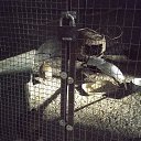 ���� ������, ��������� - ��������� 16 ������� 2018 � ������ ������ ������� �����������