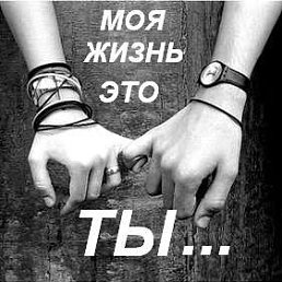 Kamol, ������, 41 ���