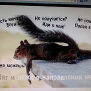 �����, 46 ���, �������