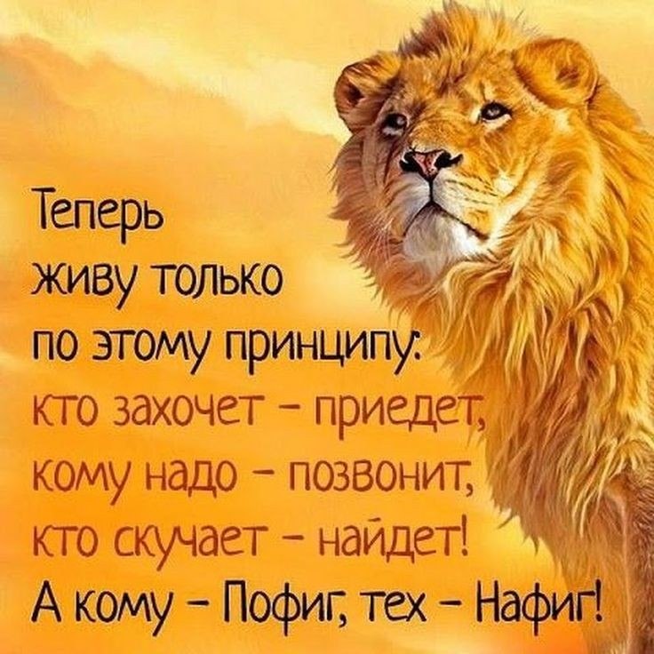   - 11  2018  11:27